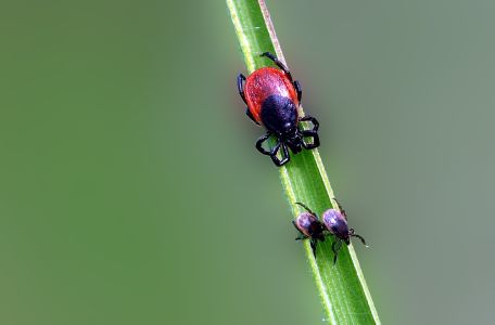 Foto: luise/pixelio.de