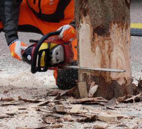 Motorsägenarbeiten zählen zu den gefährlichen Tätigkeiten. (Foto: Christian Heinz / HFUK Nord)