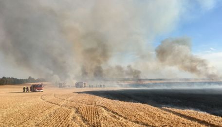Im vergangenen Sommer rückten die Feuerwehren zu unzähligen Feld- und Waldbränden aus. (Bild: FF Egeln)