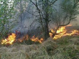 DGUV-Pressemitteilung: Vegetationsbrände belasten Feuerwehrleute