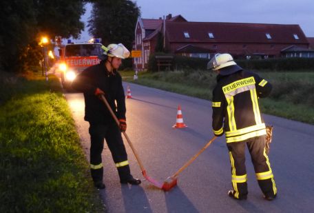 Unerschiedliche Warnwirkung der PSA in der dunklen Jahreszeit (Foto: Martin Schulze / FF Döbbelin)