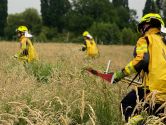 Die Feuerwehr im Sommer: Sonderseite mit Unfallverhütungsthemen zur warmen Jahreszeit wieder online