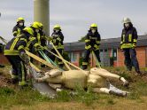 Kratzt, tritt und beißt: Feuerwehreinsätze mit Tieren