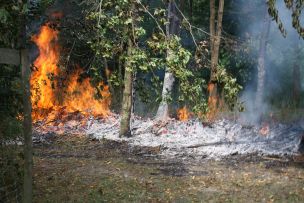 Aufgrund der bisherigen Wetterlage nimmt die Vegetations- und Waldbrandgefahr weiter zu. (Bild: FF Wattenbek)