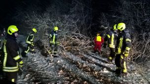 Helle Schutzkleidung erhöht die Sichtbarkeit des Sägenführenden. Zusätzlich ist hier gut zu erkennen, dass der Boden recht rutschig ist und überall Äste herumliegen. Ein sicherer Stand des Sägenführenden muss gewährleistet sein. Darüber hinaus muss ein mindestens zwei Meter großer Sicherheitsabstand zur Motorkettensäge eingehalten werden. (Bild: Dirk Rixen / HFUK Nord) 