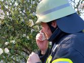 Während der warmen Jahreszeit: Allergien im Feuerwehrdienst