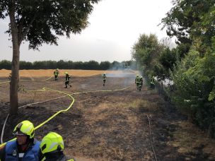 Sommertypische Einsätze fordern die Einsatzkräfte im besonderen Maße. (Bild: FF Wattenbek)