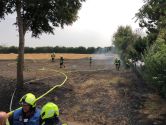 Landesfeuerwehrverband Schleswig-Holstein gibt Handlungsempfehlung zur Vegetationsbrandbekämpfung heraus