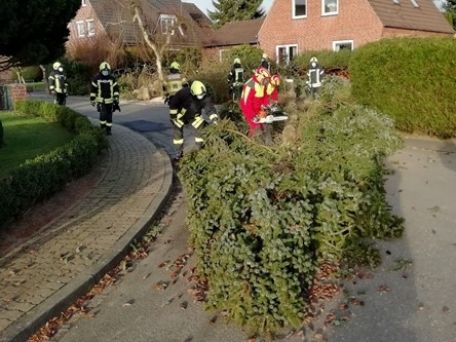Die Feuerwehren haben immer wieder viele Einsätze durch Sturmschäden zu bewältigen. (Bild: Dirk Rixen / HFUK Nord)