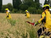Feuerwehren und Extremwetterereignisse: Online-Befragung „SiGeFEx“ startet