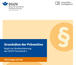 Grundsätze der Prävention Regel 100-001 (Bild: DGUV)