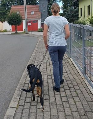 Das schnell Vorbeilaufen an einem Hund kann zu Schreck- und Angstreaktionen des Tieres führen. (Bild: Kerstin Lämmerhirt / FUK Mitte)