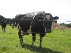 Erstattung der Entgeltfortzahlung: Dadurch wird die Arbeit nicht erledigt